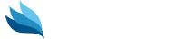 CelerityPro logo